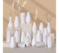 Ensemble de Petits vases en céramique Blanche, Mini vases à bourgeons en Vrac pour Fleurs et Herbes de la Pampa,centres de Table bohèmes pour fêtes/Mariages DIY/décoration de Table Basse (20, White)