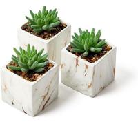 Ensemble de plantes succulentes artificielles comprenant quatre pots en céramique noirs de forme ronde – Idéal pour décorer la chambre à coucher et la salle de bains.