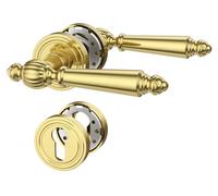Ensemble de poignées de porte dorées, finition haute brillance, avec serrure à cylindre européen et rosace ronde