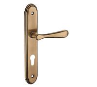 Ensemble de poignées pour porte d'entrée - THIRARD - Arthemis - Trou de cylindre - Carré 7 mm - Entr'axes 195 mm