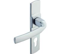 Ensemble de porte sur plaque Artis BEZAULT Entraxe 165mm - Inox brossé - Bec de cane WC - 865254