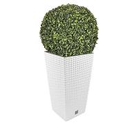 Ensemble de pots Rato 35 litres avec insert 28,7 x 28,7 x 55 cm de couleur blanche + boule de buis diamètre 36 cm