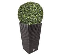 Ensemble de pots Rato 35 litres avec insert 28,7 x 28,7 x 55 cm de couleur ocre foncé + boule de buis diamètre 36 cm