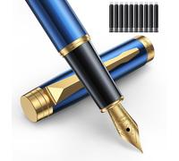 Ensemble de stylos plume avec plume fine, comprenant 10 cartouches, un convertisseur et une boîte cadeau
