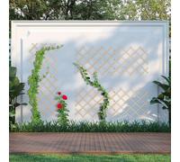 Ensemble de treillis extensible pour plantes, 180 x 90 cm, fixation murale