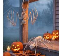 Ensemble décoratif de squelette d'araignée et de chauve-souris pour Halloween,Squelette réaliste de chauve-souris et d'araignée,Crâne effrayant de chauve-souris et d'araignée,Accessoires d'ambiance po