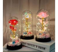 Ensemble en plastique avec ours en diamant et rose, cadeau de Noël et Saint-Valentin pour épouse, mère, fête des mères, remise de diplôme, cadeau de fleurs séchées, décoration de maison pour anniversa