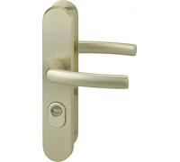 Ensemble poignées de sécurité pour porte d'entrée, béquille double, entr'axe de fixation 216mm, couleur F2 - THIRARD