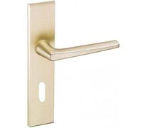 Ensemble Riv-Junior type clé L finition champagne VACHETTE 014405