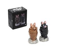 Ensemble salière et poivrière chauve-souris en céramique - Lot de 2 - Accessoires de table originaux - Décoration Halloween, cuisine ou cadeau - Design gothique et amusant - Faciles à nettoyer