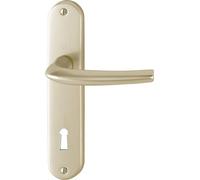 Ensemble San Diego grand model type clé L finition F2 alu aspect champagne HOPPE 3559774