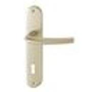 Ensemble San Diego grand model type clé L finition F2 alu aspect champagne - HOPPE - 3559774 Noir G