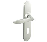 Ensemble sur plaques TWIST petit model clé L finition chromé velours VACHETTE 069127