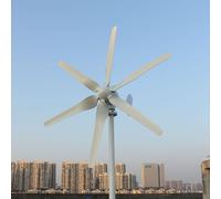 Éolienne de 800W, 12V/24V/48V, à 6 pales, avec régulateur MPPT, pour usage domestique