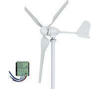 Éolienne horizontale de 5 000 W - Générateur éolien 24 V - 3 pales - Démarrage à 2 m/s - Alliage d'aluminium - Régulateur de charge inclus - Blanc