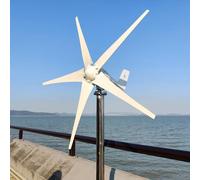 Éolienne horizontale - Éolienne SZ-3000 - Puissance de 3 000 W - 24 V hors réseau - Système 1 - 5 pales - Vitesse de démarrage de 1,5 m/s - Alliage d'aluminium - Blanc