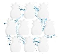 Éponge Anti-Écume Piscine 10 Pièces Filtre Nettoyant Salle de Bain