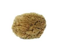 - Eponge végétale naturelle 15 cm