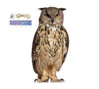 Épouvantail anti-oiseaux pour protection de la ferme - Pendentif | Pour la protection du jardin - Pendentif décoratif avec clochette - Imitation hibou réaliste qui tient loin