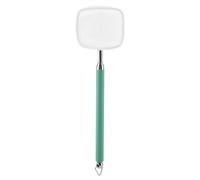 Épuisette télescopique extensible pour poissons et crevettes, pour aquarium et étang (carré vert)