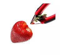 Equeuteur coupe queue pour les fraises OXO Good Grips