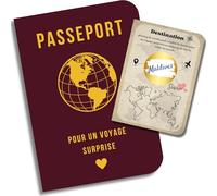 EQUIK PRODUCTS Passeport Cadeau Voyage Surprise | Carte à Gratter Personnalisable | Bon à Compléter | Carnet de Voyage Vintage | Idée Cadeau Originale pour Voyageur ou Voyageuse (Voyage Surprise)