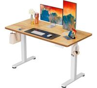 ErGear Bureau Assis Debout, Bureau Electrique Réglable en Hauteur avec Panneau Intelligent à 4 Mémoires et Plateau en Deux Parties (Marron Clair, 120 x 60 cm)
