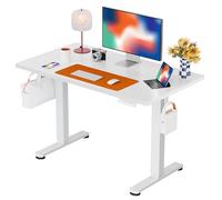 ErGear Bureau Assis Debout, Bureau Electrique Réglable en Hauteur avec Panneau Intelligent à 4 Mémoires et Plateau en Deux Parties (Blanc, 100 x 60 cm)