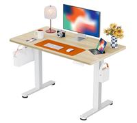 ErGear Bureau Assis Debout, Bureau Electrique Réglable en Hauteur avec Panneau Intelligent à 4 Mémoires et Plateau en Deux Parties (Beige, 100 x 60 cm)