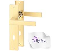 ERGO line CUBE garnitures de porte carrées, doré mat, poignée pour porte d’intérieur, ensemble de poignées avec plaque longue, garniture de porte, carré de 7 mm, entraxe 70 mm, laiton brossé mat