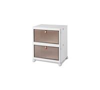 Ergocar Boîte de Rangement Pliable, Organisateur de Rangement Plastique avec Couvercle et Poulie, Caisses de Rangement Transparente pour Salon, Chambre, Bureau