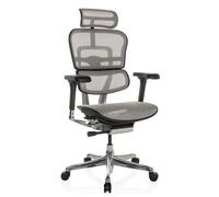 ERGOHUMAN GEN2 | tissu maille - Siège de direction de luxe gris clair