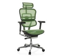 ERGOHUMAN GEN2 | tissu maille - Siège de direction de luxe Vert