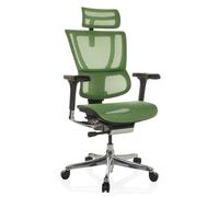 ERGOHUMAN SLIM GEN2 | tissu maille - Siège de direction de luxe Vert