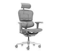 HJH Office Siège de direction de luxe ERGOHUMAN ULTRA G GEN2 tissu maille Gris