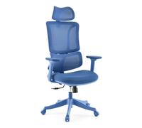 Ergomy Colore | Tissu / Maille 3D | Structure : Multicolore - Siège de bureau à domicile Bleu