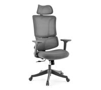 Ergomy Colore | Tissu / Maille 3D | Structure : Multicolore - Siège de bureau à domicile Gris