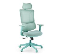 Ergomy Colore | Tissu / Maille 3D | Structure : Multicolore - Siège de bureau à domicile Turquoise