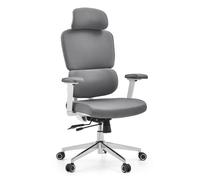 Ergomy WF 2 | Tissu | Structure : Blanc - Siège de bureau de qualité professionnelle Gris