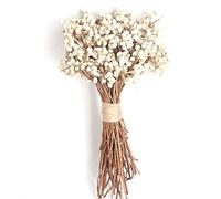 Ericetion 20 Pcs/Jeu De Coton Naturel Boules De Coton Séchées Plantes De Fleurs Sèches Vrais Fruits Blancs Bouquet De Fruits Fleurs Décoratifs Bricolage Mariage Décoration De Mariage, Blanche