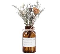 Ericotry Bouteilles décoratives en Verre ambré - 500 ML - pour Vase d'apothicaire - Style Vintage - avec Corde créative - pour la décoration de la Maison Antique,Naturelle