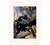 Erik - DC Comics Batman Gargoyle, 30 x 40 cm