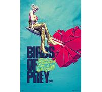 Erik - Poster Birds of Prey - Broken Art, 91,5 x 61 cm, GPE5416