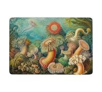 Ernst Haeckels Art Forms of Nature Tapis 150 x 100 cm, Doux et Antidérapant | Ambiance cocooning : Tapis 150 x 100 cm, avec impression par transfert thermique; pour chambre