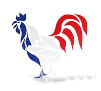 erreinge Autocollant France Gallo Gauche Schriftzug Imprimé en PVC Mural Sticker Mural pour Casque Auto Moto Camper pour Ordinateur Portable - 35 cm