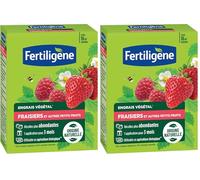 ERTILIGENE FEGFRA12 - Engrais Végétal Fraisiers et Autres Petits Fruits 1,2 kg - Des récoltes plus abondantes - Seulement 1 application en 3 mois - Jusqu'à 16m² - Produit 100% naturel avec zéolite