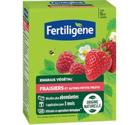 ERTILIGENE FEGFRA12 - Engrais Végétal Fraisiers et Autres Petits Fruits 1,2 kg - Des récoltes plus abondantes - Seulement 1 application en 3 mois - Jusqu'à 16m² - Produit 100% naturel avec zéolite