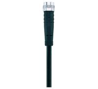 Escha 8043760 Câble de raccordement 2.0 m Nombre de pôles: 4 1 pc(s)