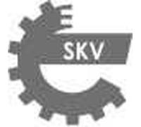 ESEN SKV 61SKV389 Vase d'expansion, liquide de refroidissement pour FORD,SEAT,VW
