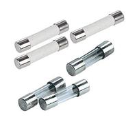 Eska Fusibles temporisés de type G T 1,25A 5 x 20mm 522.518